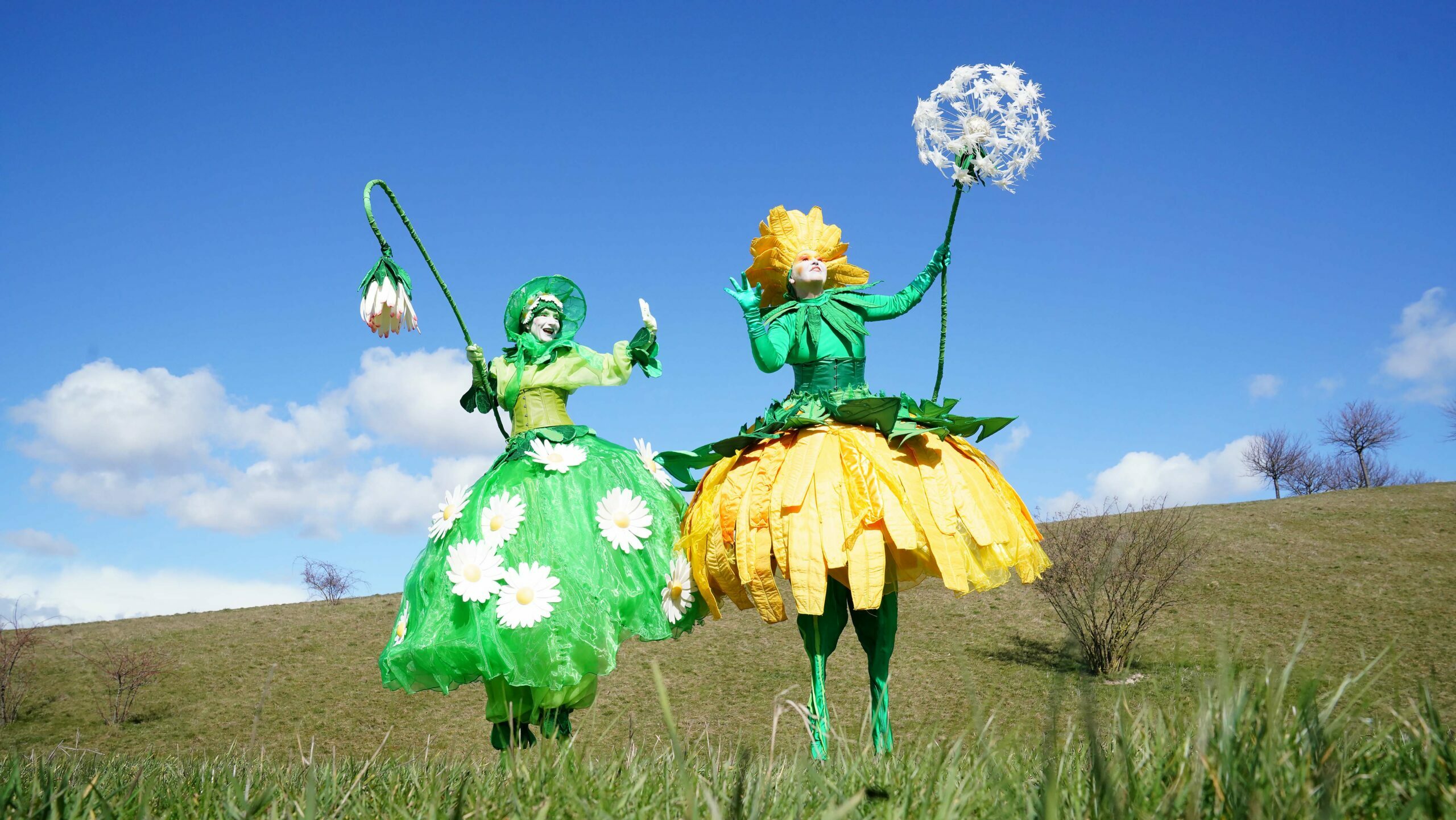 Tausendschön und Pusteblume Art Tremondo copyright foto marion coers